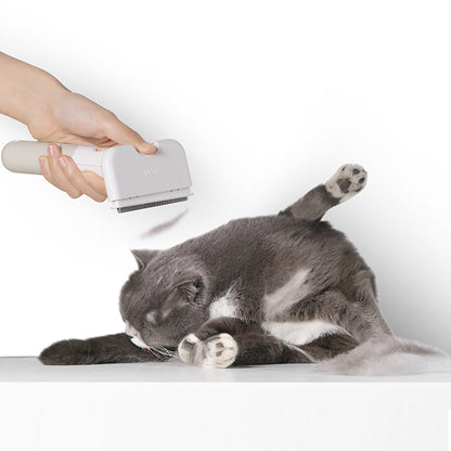 Hair Removal Brush for Cats & Dogs